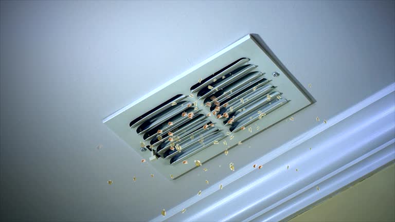 Best Affordable Air Duct Cleaning  in Albany, MO
