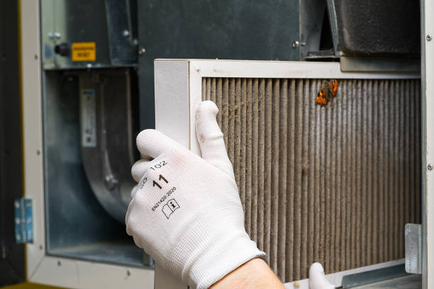 Best Best Air Duct Cleaning Near Me  in Albany, MO