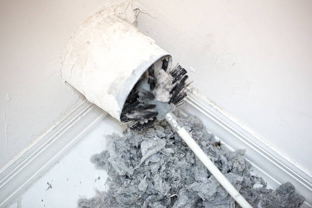 Best Air Duct Cleaning Company Near Me  in Albany, MO